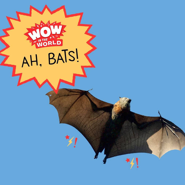 Ah, BATS!