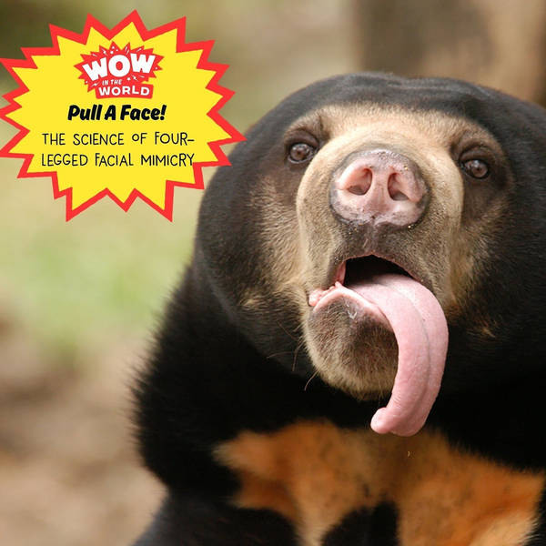 Pull A Face! The Science Of Four-Legged Facial Mimicry (encore)