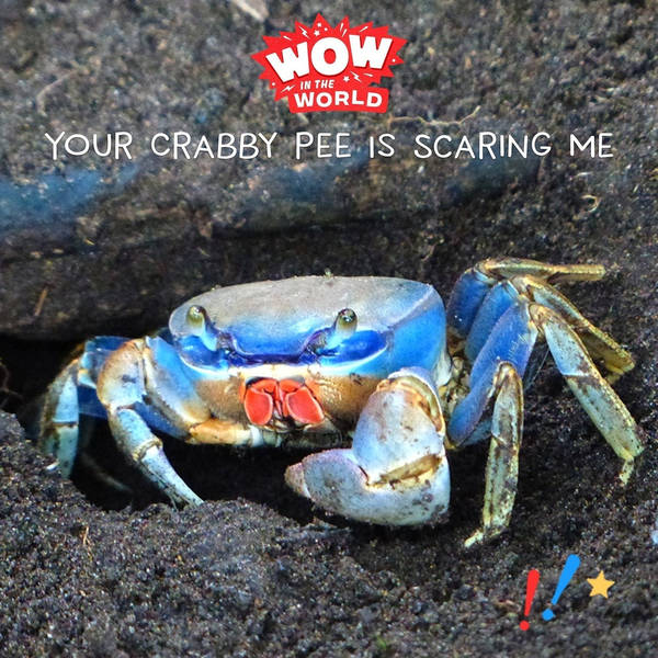 Your Crabby Pee Is Scaring Me!