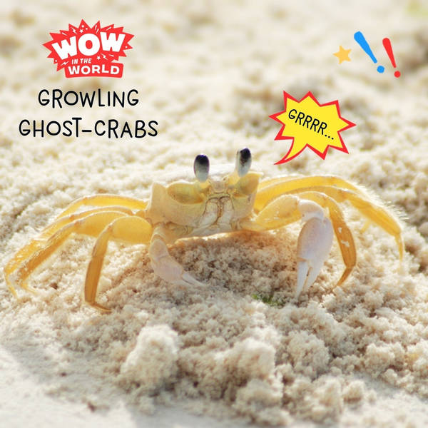 Growling Ghost-Crabs