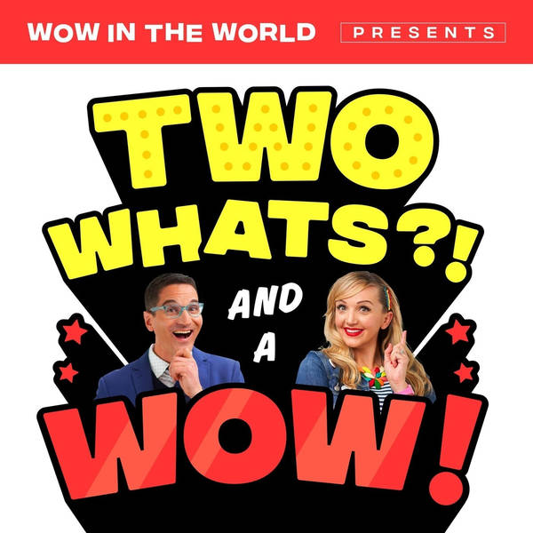 Two Whats?! And A Wow! - Kangaroo, How Do You Do?