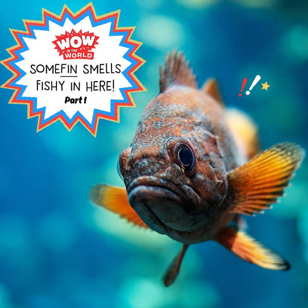 Somefin Smells Fishy In Here! (How Fish Oil Makes Us Smarter) Part 1