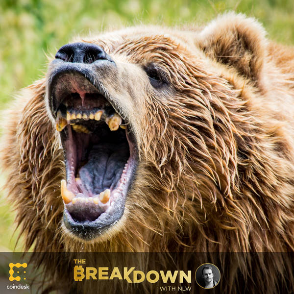 BREAKDOWN: The Bloodbath-ening – Is This the End of the Crypto Bull Market?