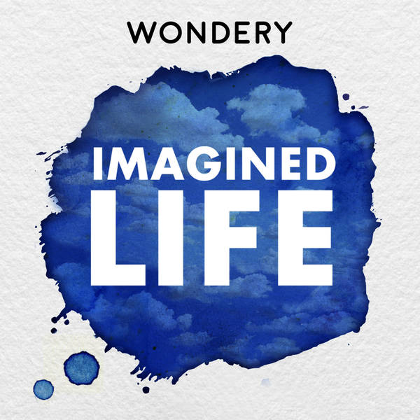 Introducing: Imagined Life