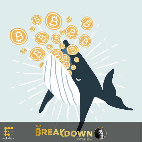 BREAKDOWN: Who Matters More to Bitcoin – Whales or Plebs?