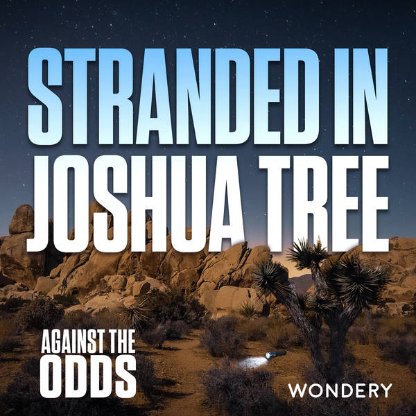 Stranded in Joshua Tree | 1