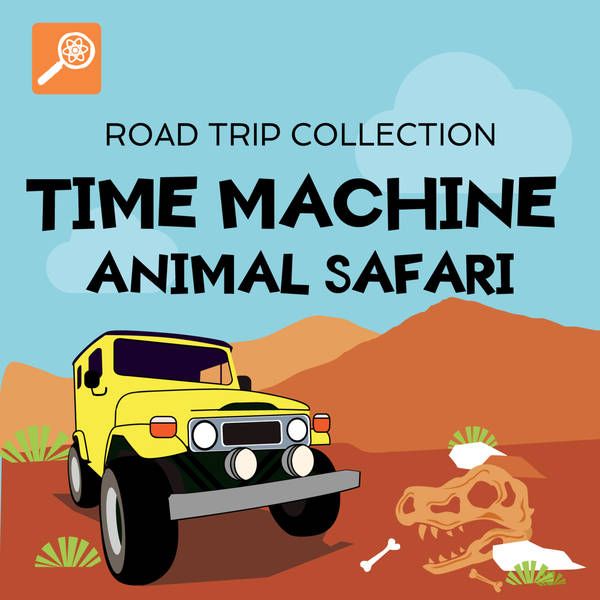 Time Machine Animal Safari