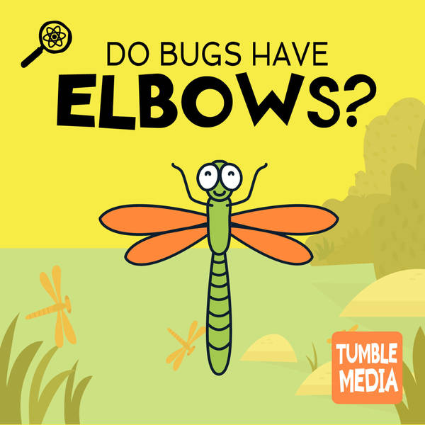 Do Bugs Have Elbows?