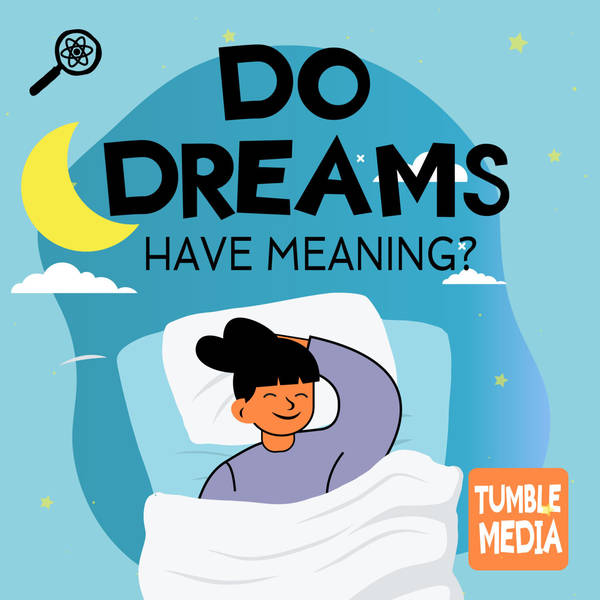 Do Dreams Have Meaning?