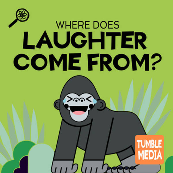 Where Does Laughter Come From?