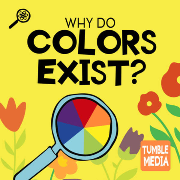 Why Do Colors Exist?