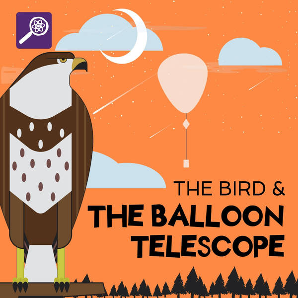 The Bird and The Balloon Telescope