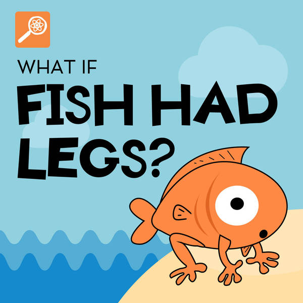 What If Fish Had Legs?