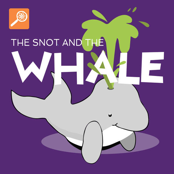The Snot and the Whale