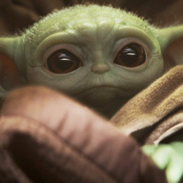 Little Baby Yoda Fever