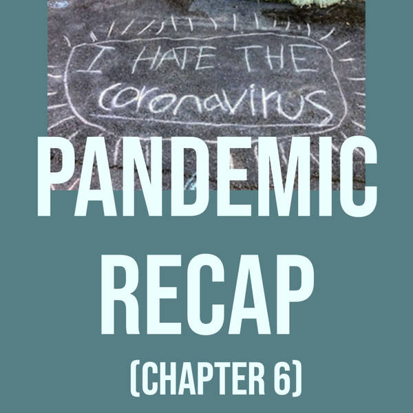 Pandemic Recap - Chapter 6