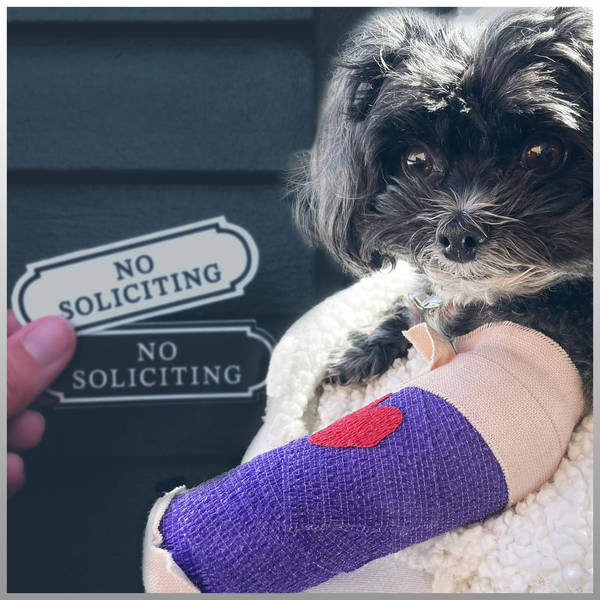 Damn the Door Knockers: Porch Proselytizers and My Injured Dog