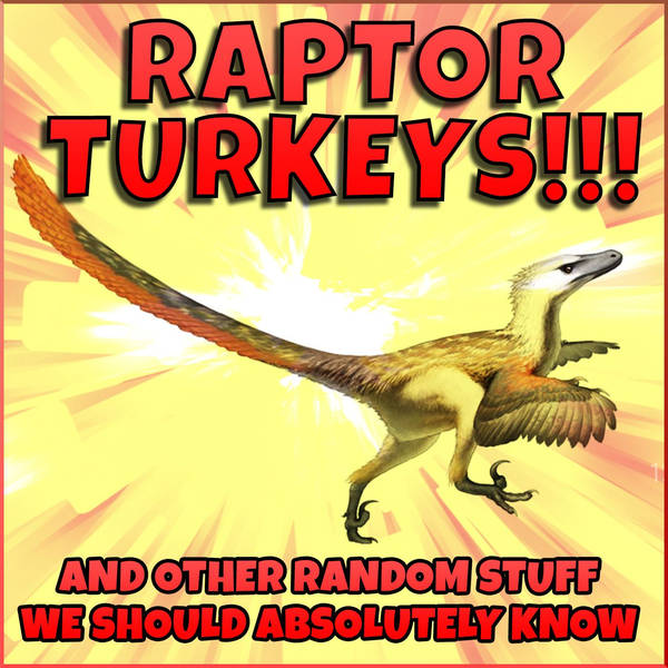 Raptor Turkeys (and Other Random Stuff We Should Absolutely Know)