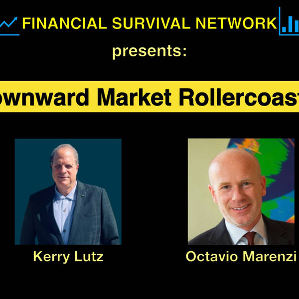 Downward Market Rollercoaster - Octavio Marenzi #5499