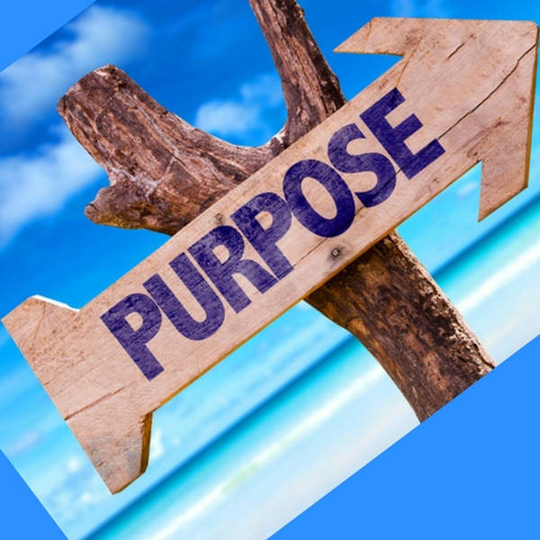 How To Find Your Purpose with Maureen Dickie