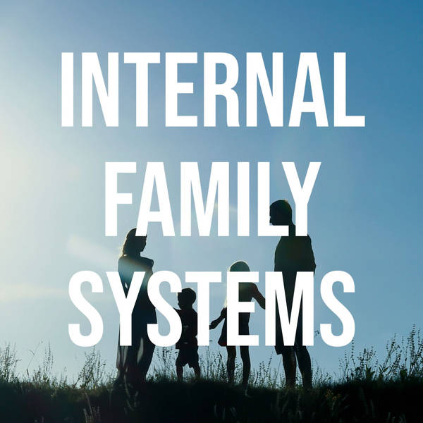 Internal Family Systems (2014 Rerun)