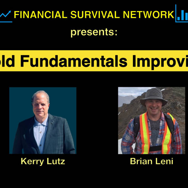 Gold Fundamentals Improving - Brian Leni #5388