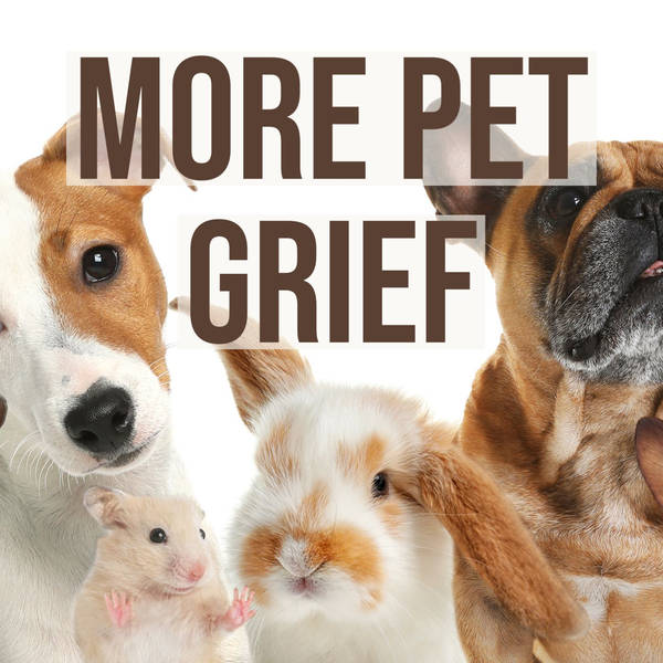 More Pet Grief