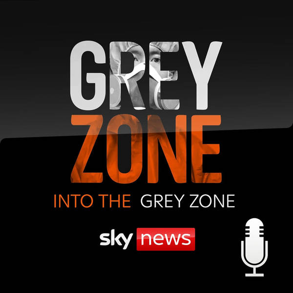Introducing Into the Grey Zone