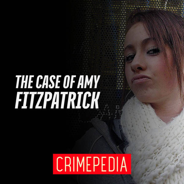 The Case of Amy Fitzpatrick