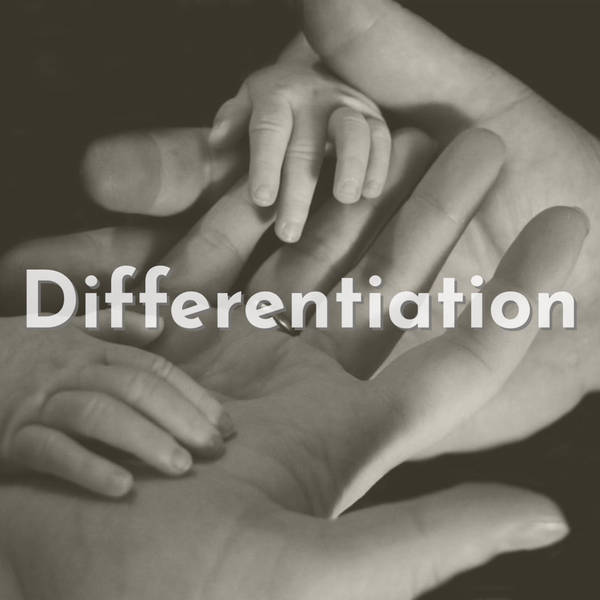 Differentiation (Rerun)