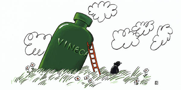 Encore: 'The Woman Who Lived In A Vinegar Bottle' feat. Sela Ward