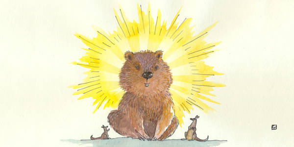 Kangaroo And Joey Too featuring Boston Symphony Orchestra