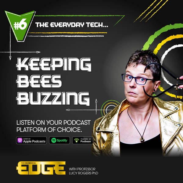 S2 E6: The Everyday Tech Keeping Bees Buzzing