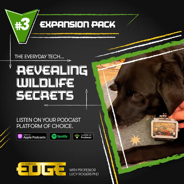 S2 E3 Expansion Pack: Revealing Wildlife Secrets