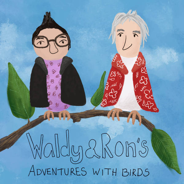 Waldy and Ron's Adventures in Birds