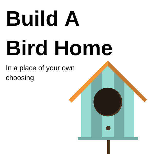 738 - Build a Bird Home