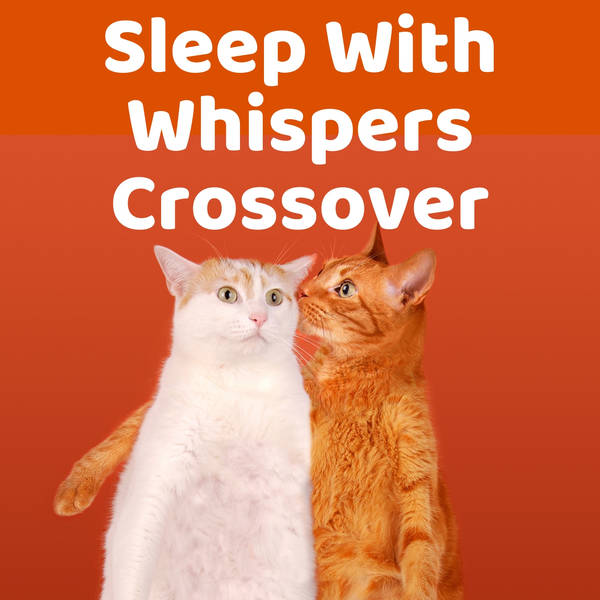 706 - Sleep With Whispers