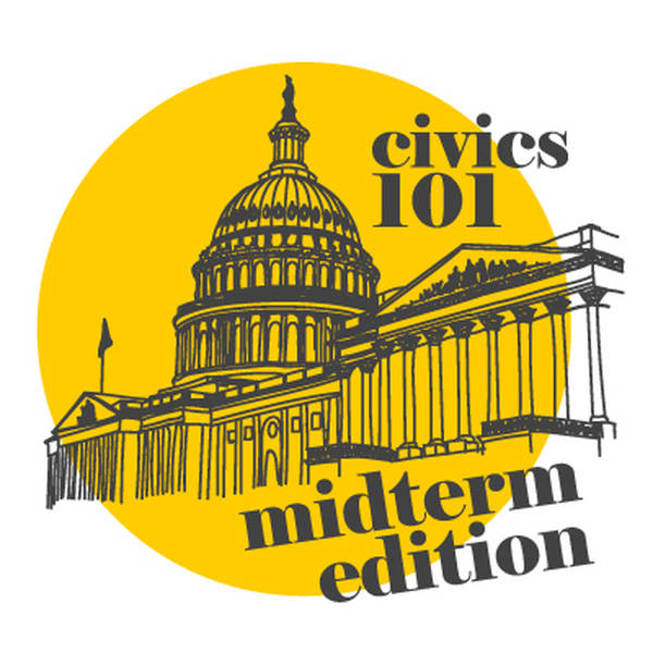 Midterm Edition: State and Local Elections