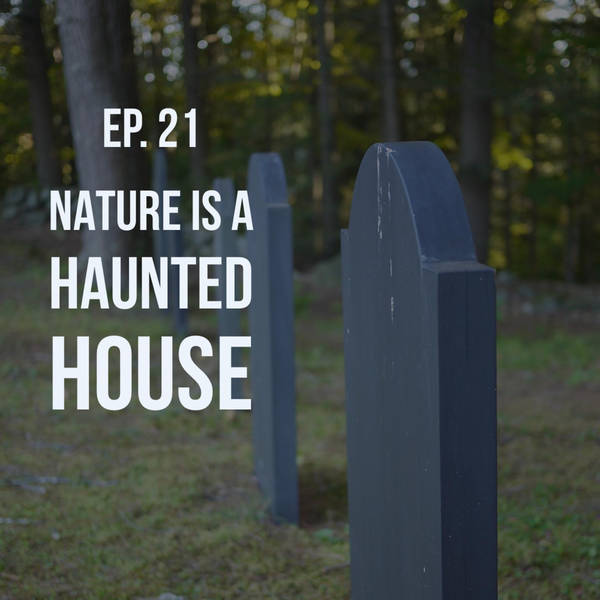 Nature is a Haunted House