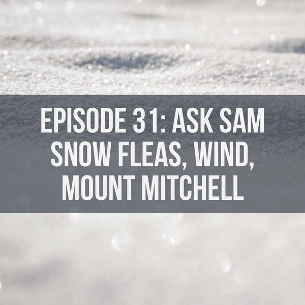 Ask Sam | Snow Fleas, Wind, Mount Mitchell