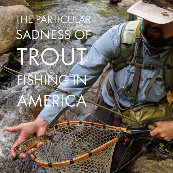The Particular Sadness of Trout Fishing in America