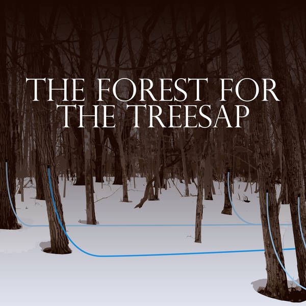 The Forest for the Treesap