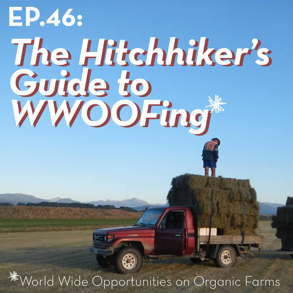 The Hitchhiker's Guide to WWOOFing