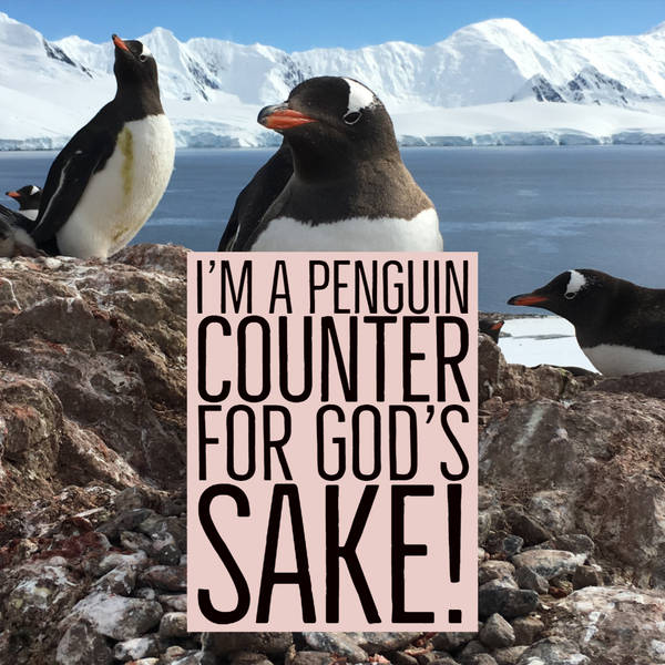 I'm a Penguin Counter for God's Sake!