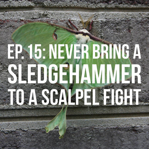Never Bring a Sledgehammer to a Scalpel Fight