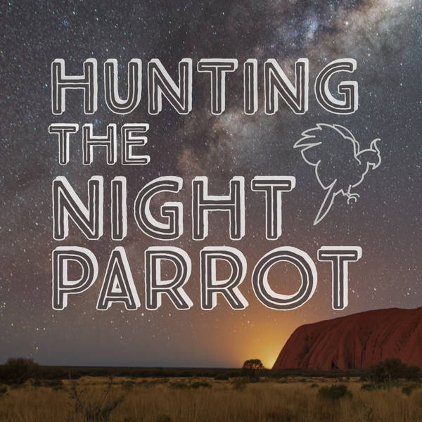 Hunting The Night Parrot