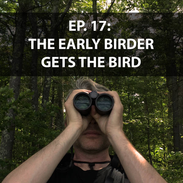 The Early Birder Gets the Bird