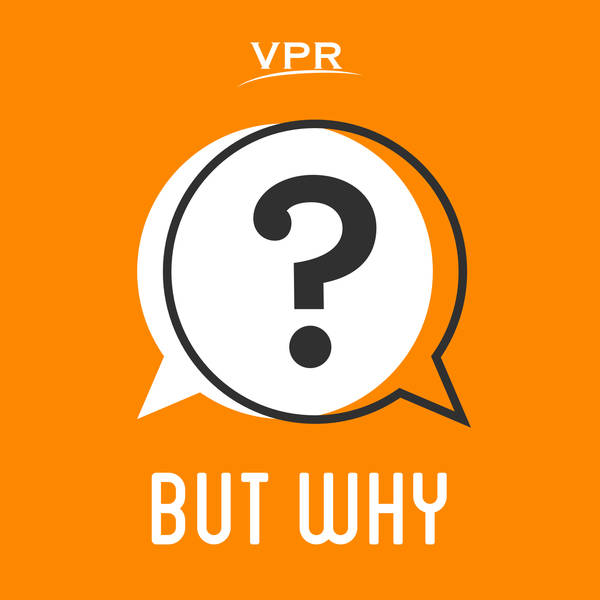 But Why Live: Words and Language