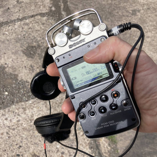 Gibbon morning chorus, recorded in the car park of Fota House, near Cobh, Co. Cork, Ireland in April 2024 – by Damian Drohan