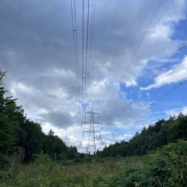 Fizzing pylon, Chopwell Woodland Park, Gateshead, England, UK in July 2024 – by Tash Walker